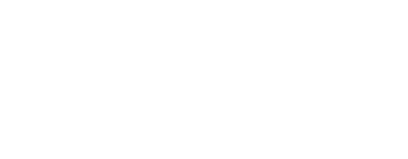 PRIME Show MMA